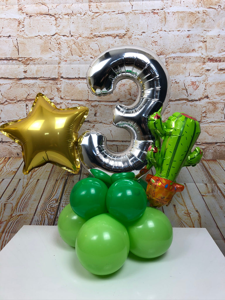 Single Number Character Age Display - Cactus