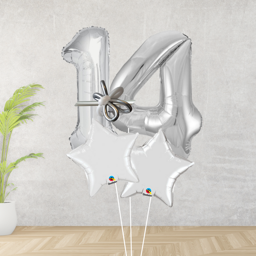 Age 14 Large Silver Double Number Display