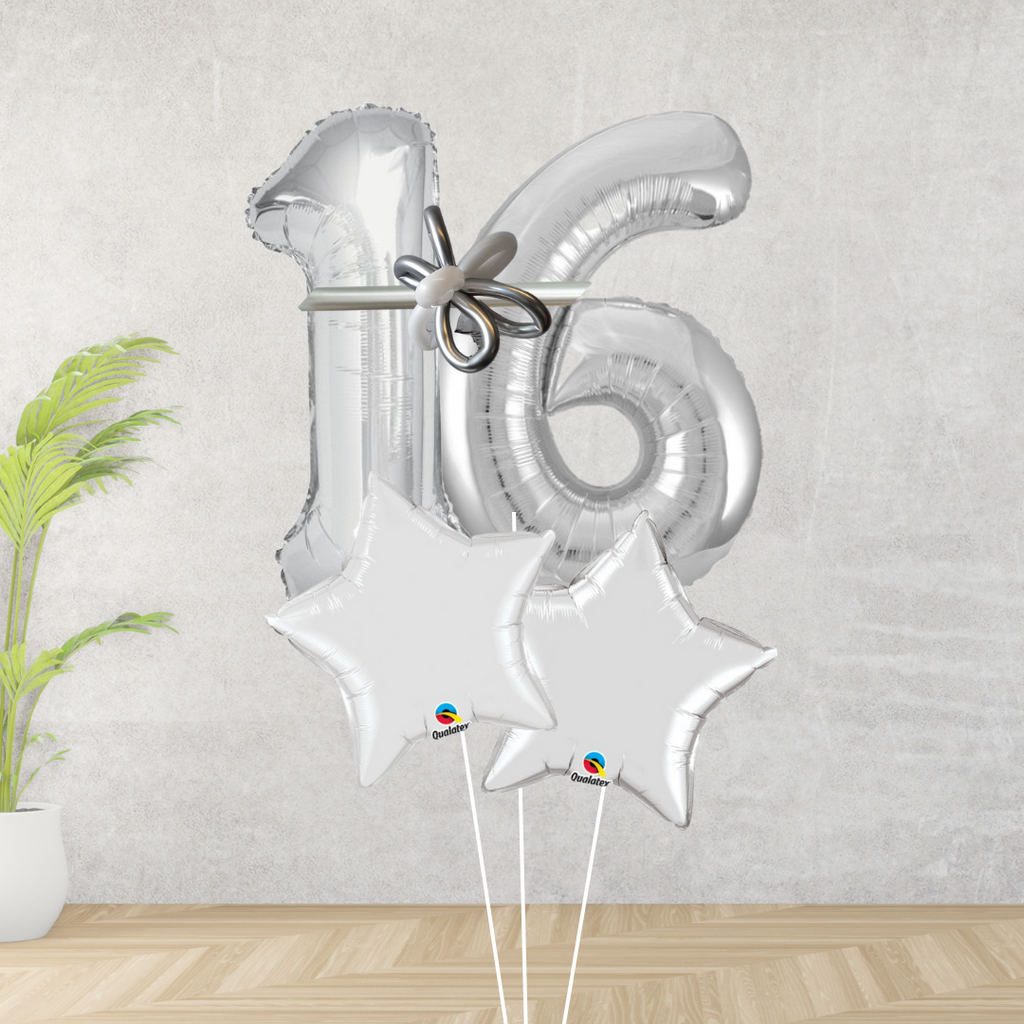 Age 16 Large Silver Double Number Display