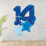 Age 14 Large Blue Double Number Display