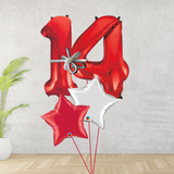 Age 14 Large Red Double Number Display