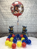 Paw Patrol Package