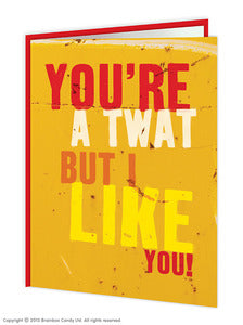 You're A Twat But I Like You Rude Birthday Card