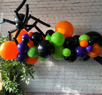 Halloween Organic Balloon Swag With Spider (Inflated) - 2 Metre Length