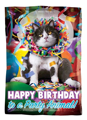 17" Party Animal Cat Foil Balloon