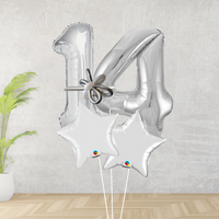 Age 14 Large Silver Double Number Display