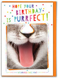 Purrfect Wearable Face Mat Greeting Card