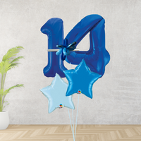 Age 14 Large Blue Double Number Display