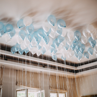 Ceiling balloons (100 balloons )