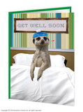 Get well soon meerkat card
