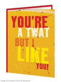 You're A Twat But I Like You Rude Birthday Card
